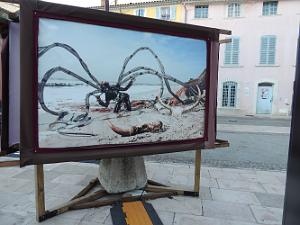 56  Exposition de Tableaux